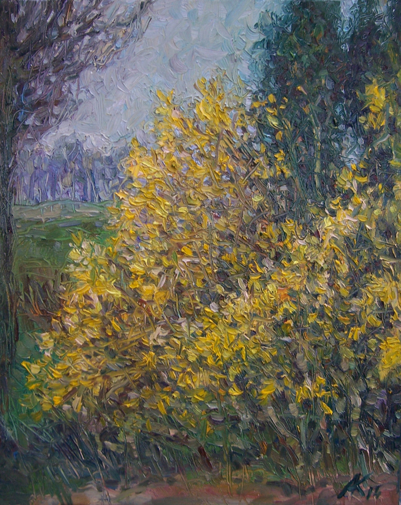 Gele struik