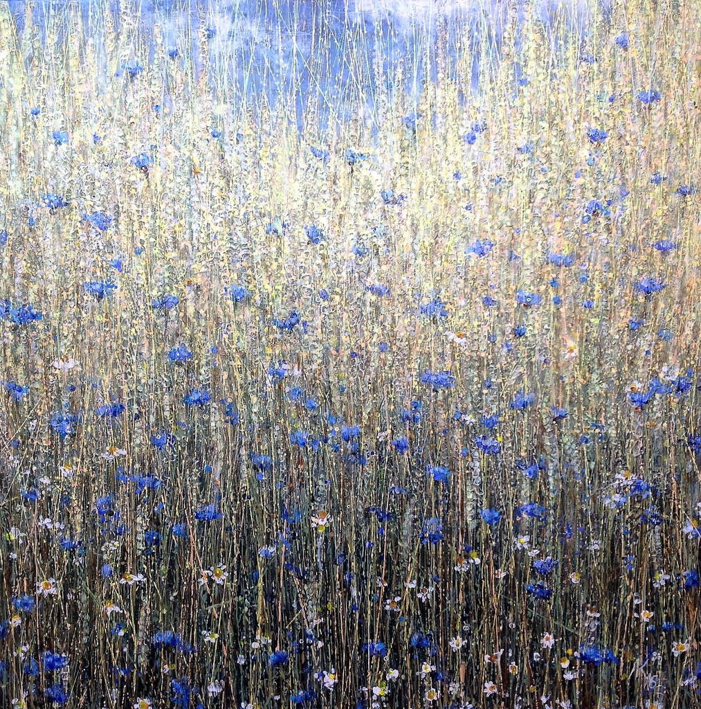 Korenveld