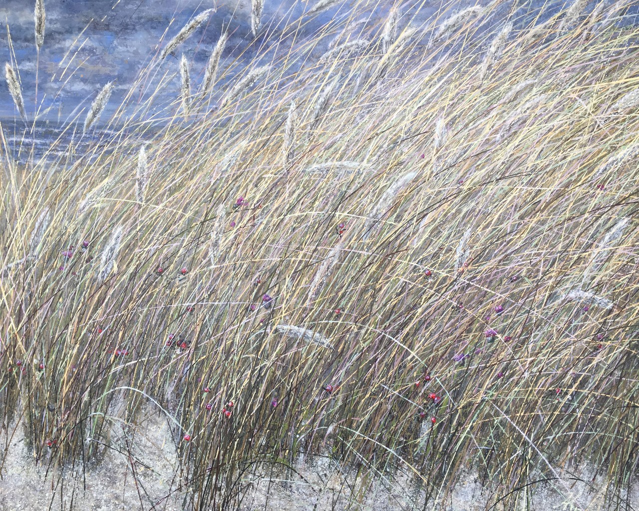 Aan de Noordzee
