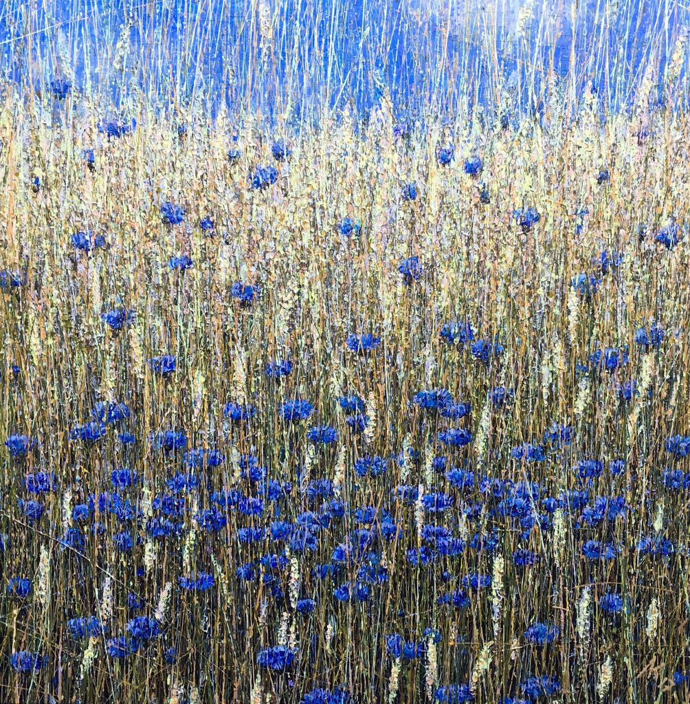 Korenbloemen