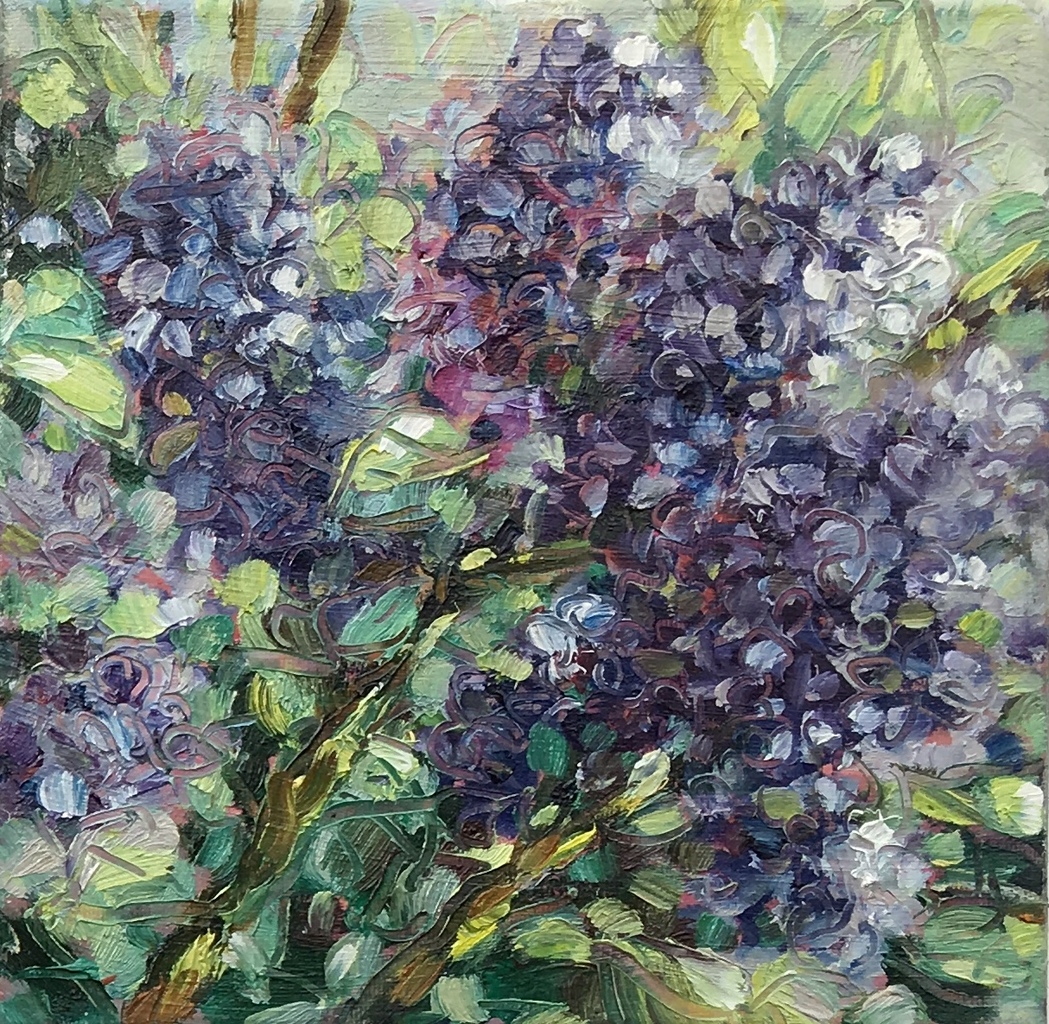 Fleur. Paars. Sirene