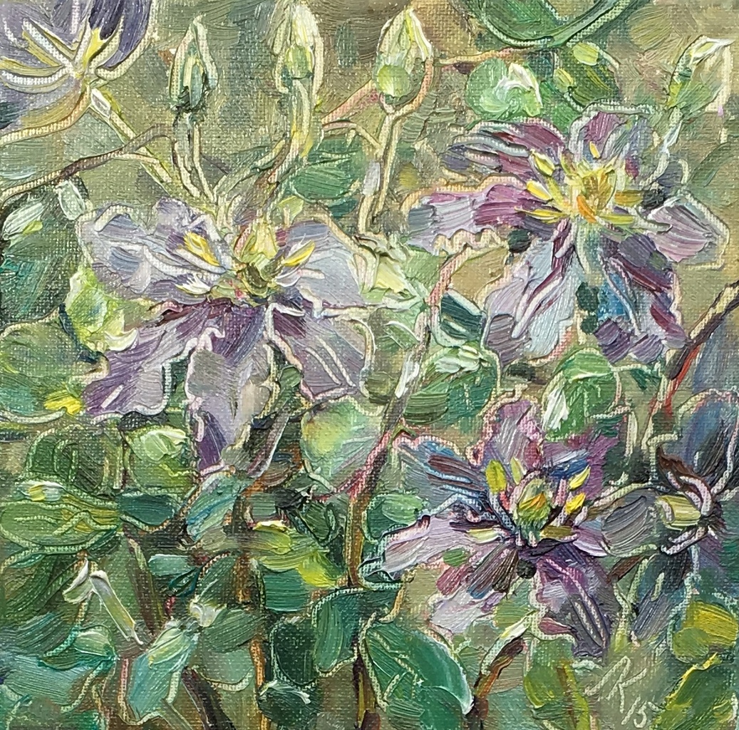 Fleur. Paars. Clematis
