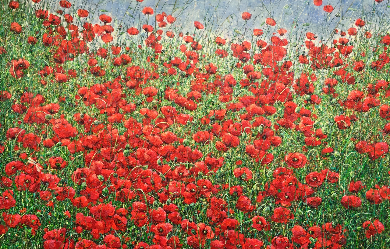 Where poppies bloom