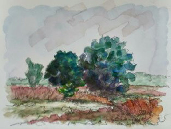 Kampina