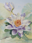 Aquarellen