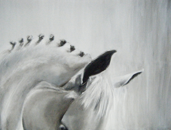 Camargue paard 2
