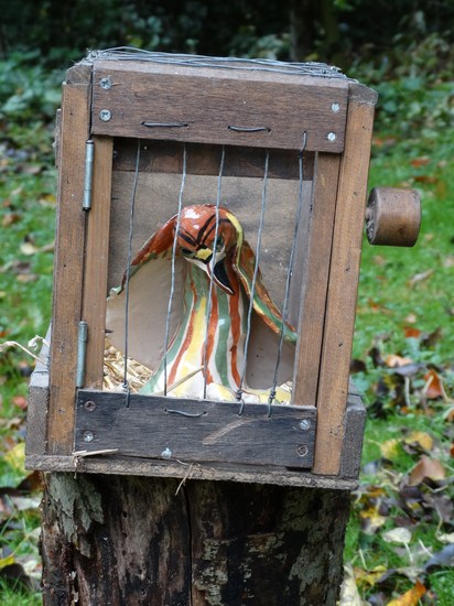 magic bird in cage