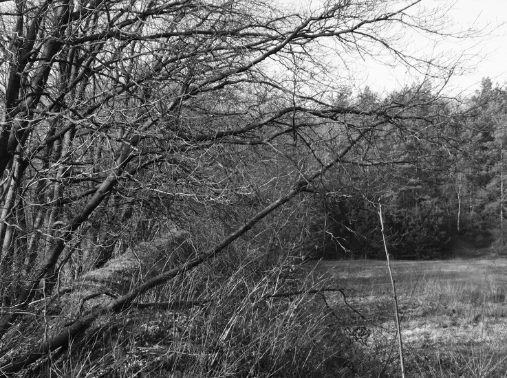 Protective nothingness