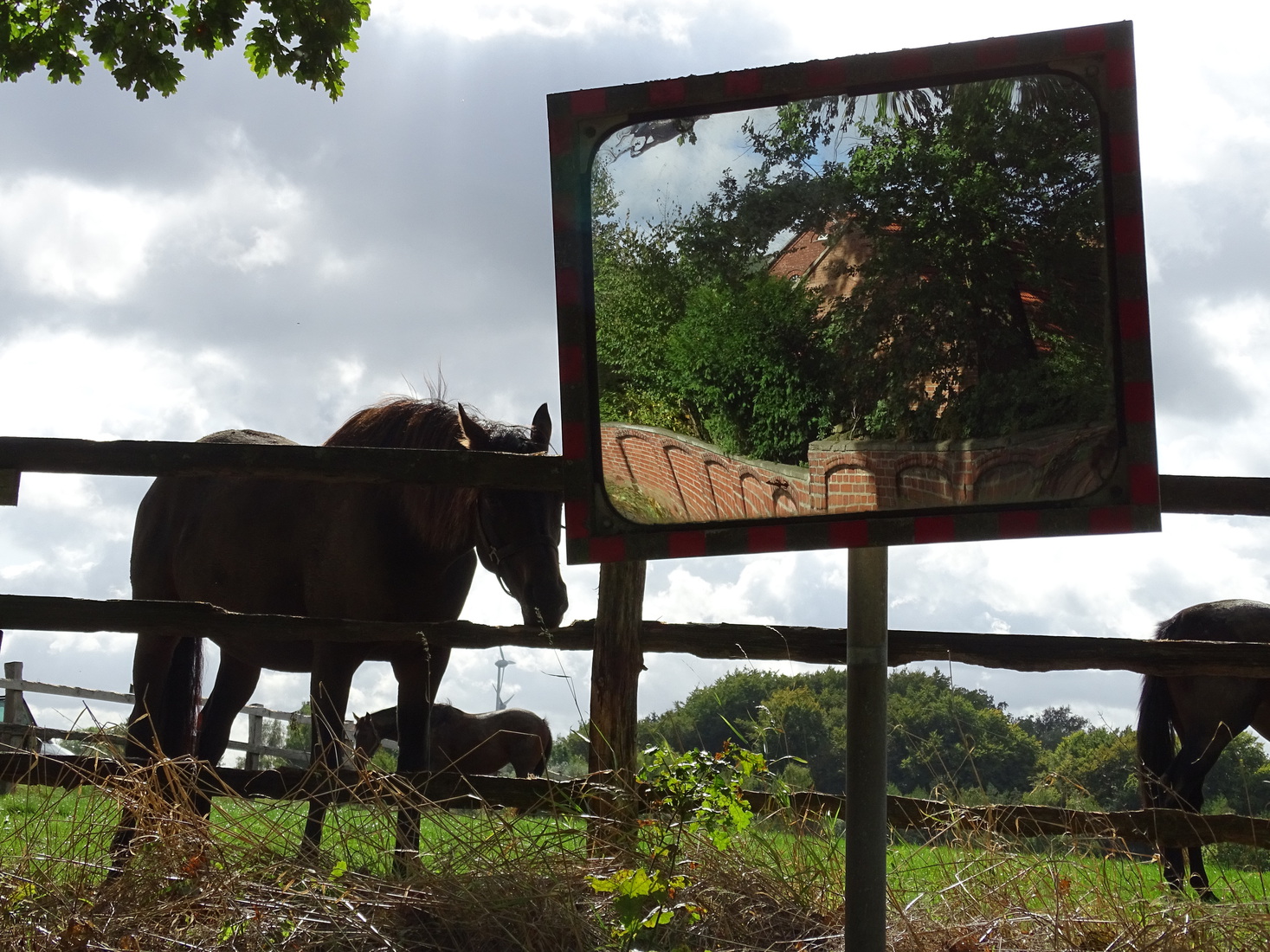 Looking - the other side of the road