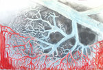 Tekeningen. Formaat 80 x 120. Oliekrijt, grafiet, houtskool, pigment en olie op dik tekenkarton