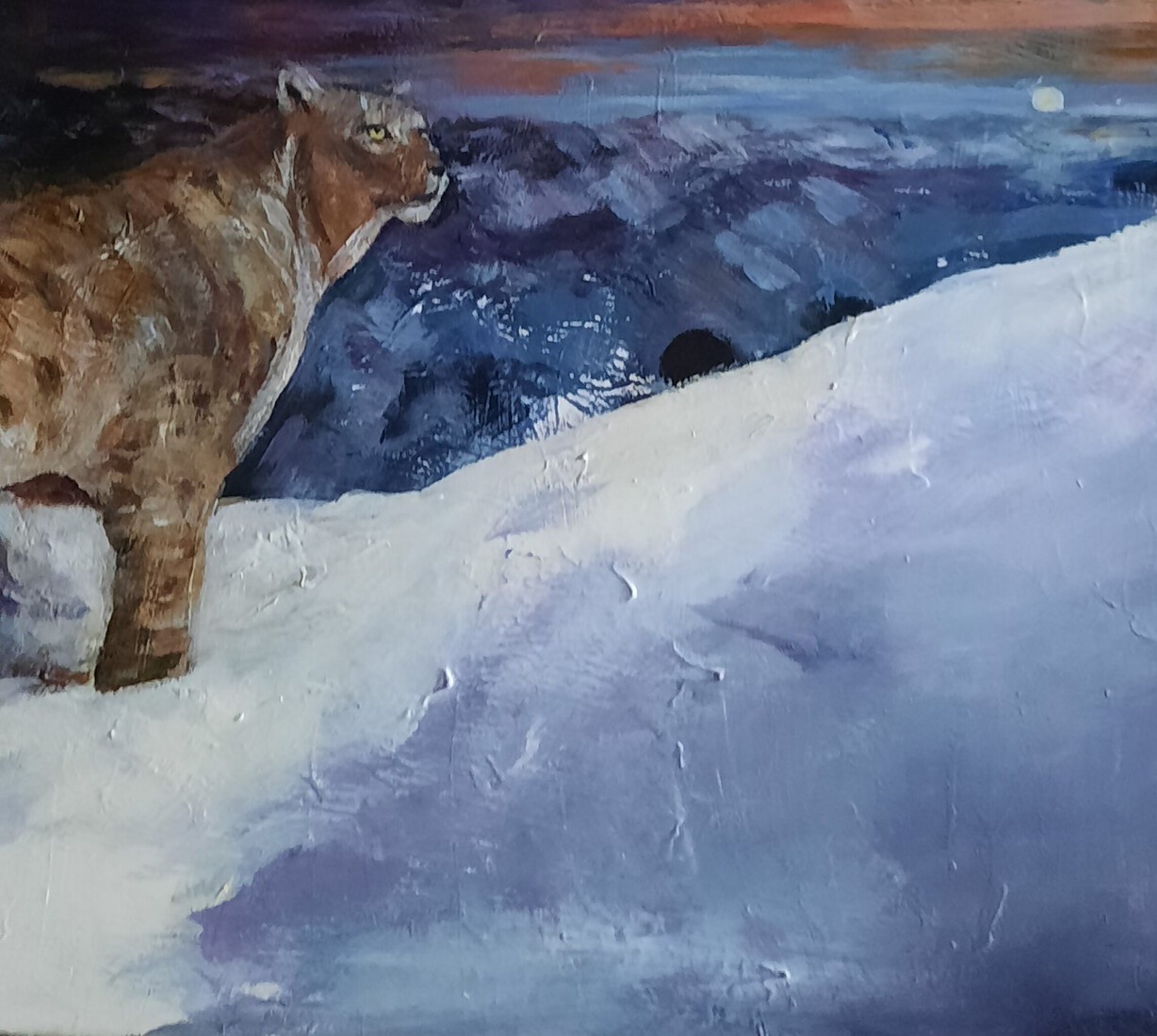 Bengaalse tijger in de sneeuw