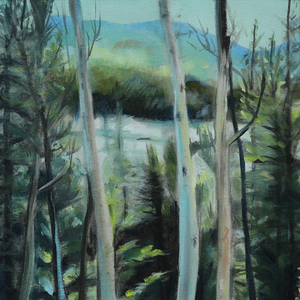 The beautiful Rocky Mountains ,close to Breckenridge Colorado, are painted in square compositions.