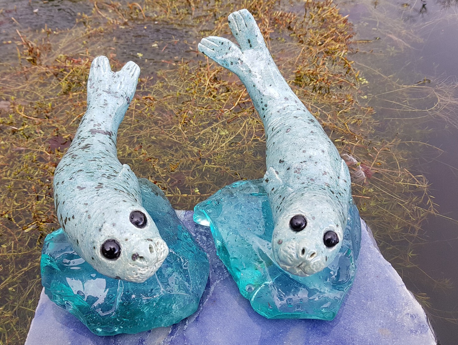 Setje Zeehondjes
