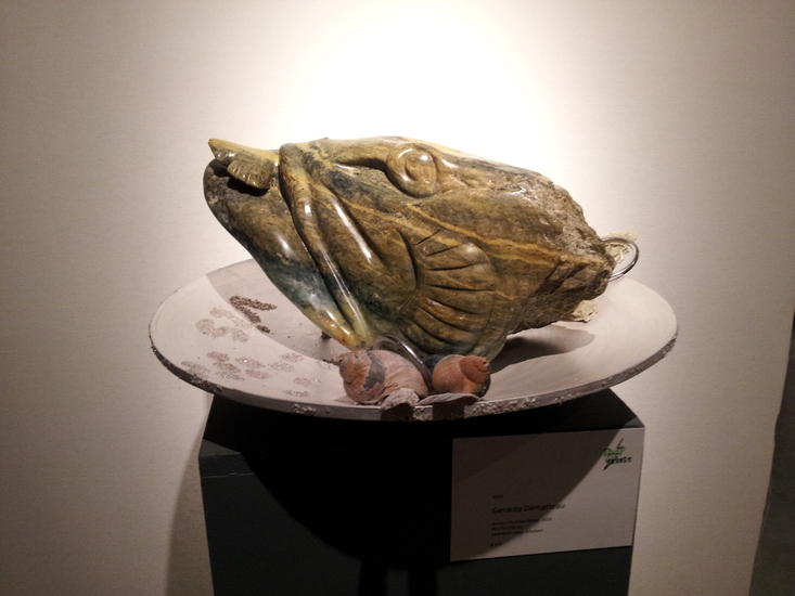 Als een vis in het water /expo