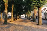 Deze reeks foto's heb ik met een Nikon F65 gemaakt, een analoge camera. De lens is een Nikon 35-70mm AF-D. Deze reeks zijn voornamelijk natuur- en stads- foto's.