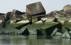 Eigen foto's van het strand, paalhoofden en blokkendamen die mij inspiratie geven om mijn grafiek te maken