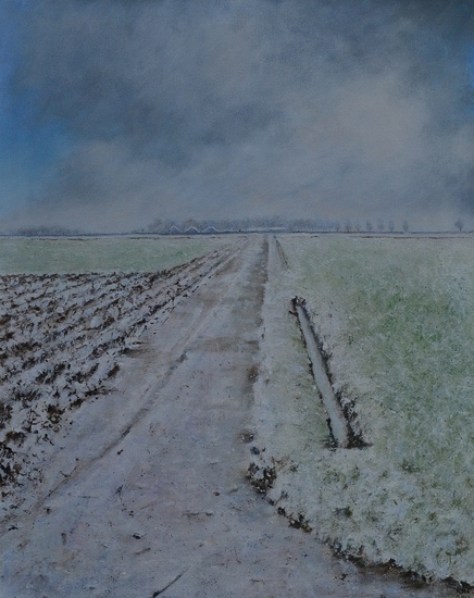 Besneeuwde Polder in Dronten