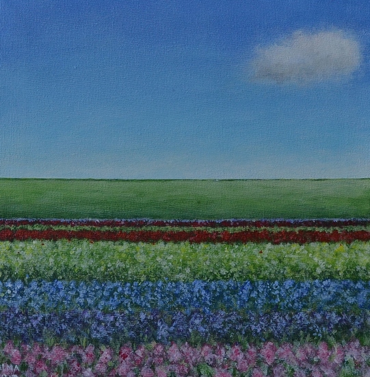 Wolkje boven Hyacintenveld