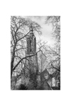 Series made on commission. The towers are photographed from the direction of the client's home at the time, and show the tower as it would have been seen by the client from his home, if he could see it.