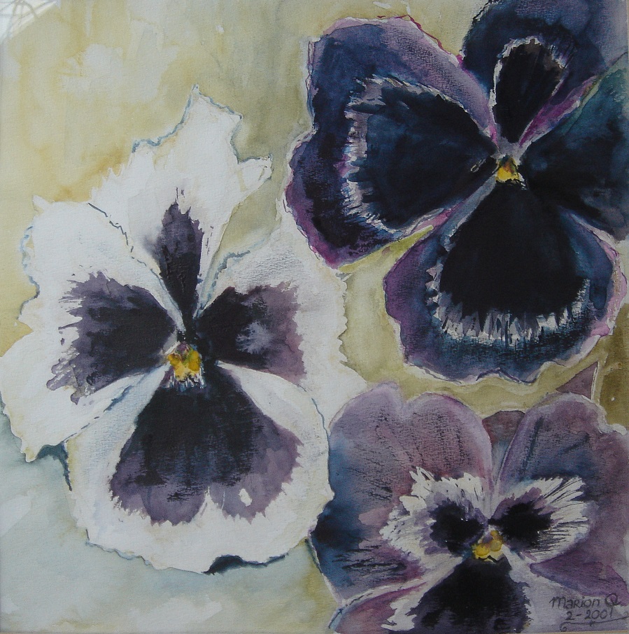 Aquarel drie violen MARQUA1104 €149