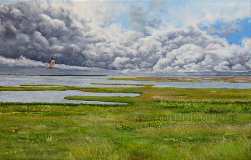 Lauwersmeer gebied