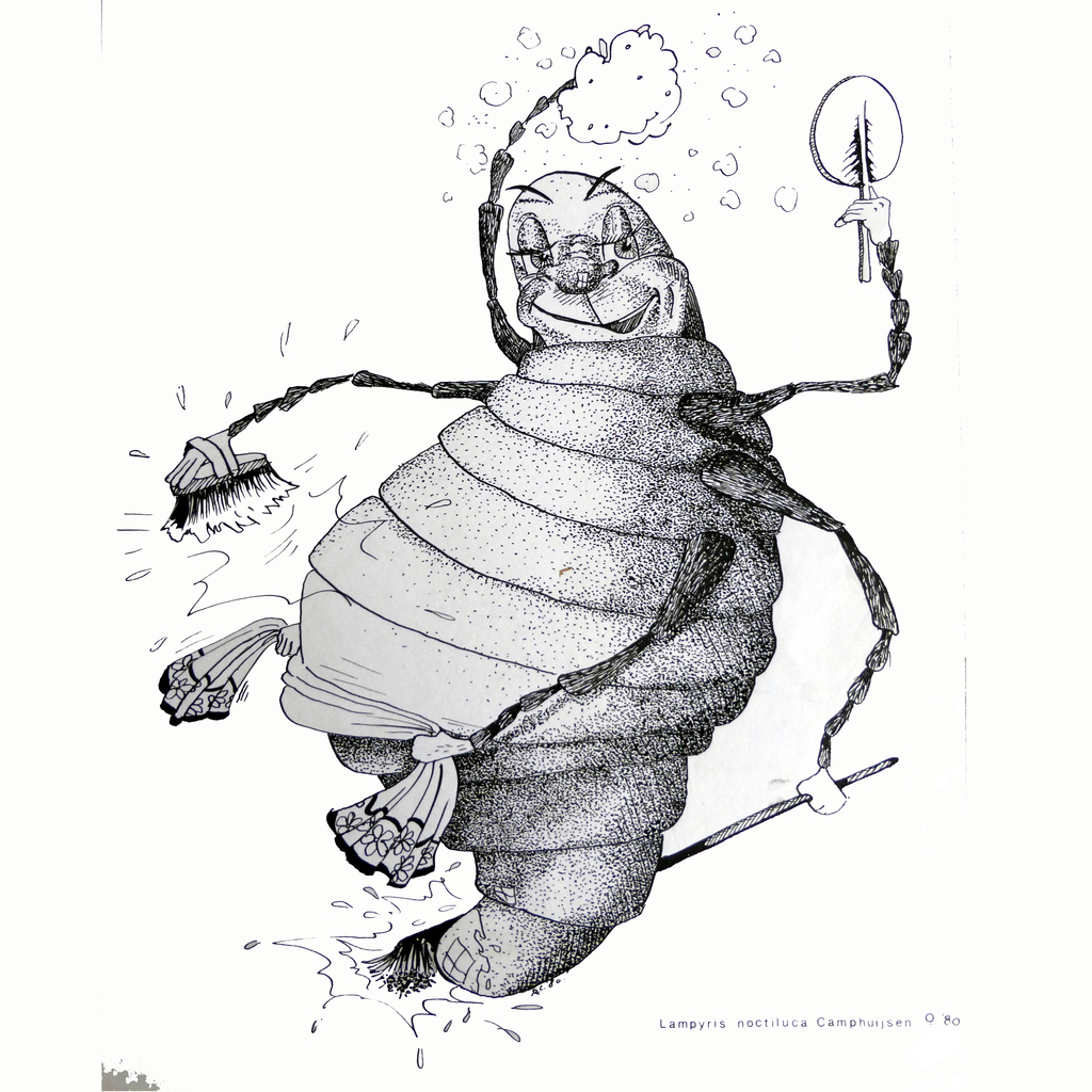 De glimworm