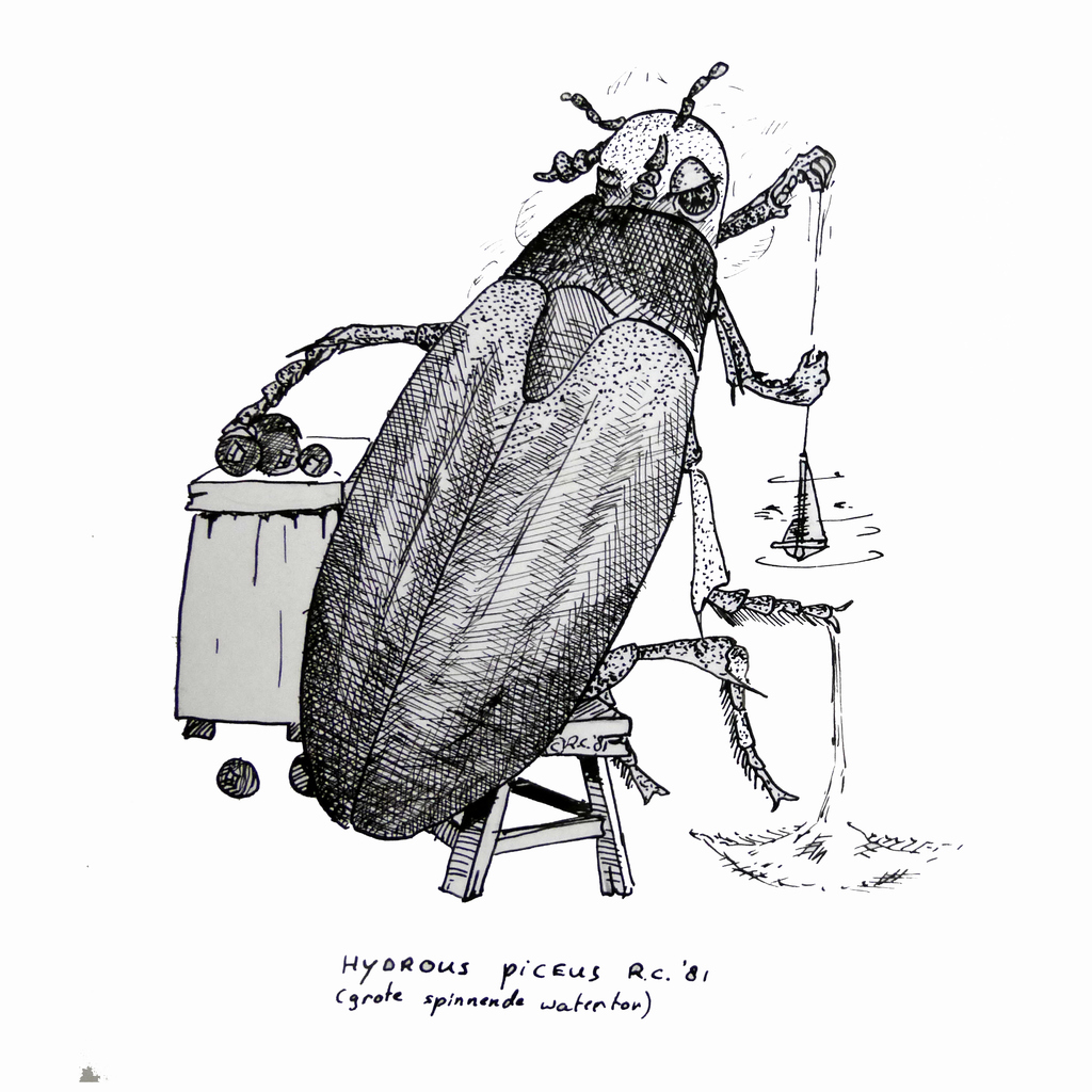 Grote spinnende watertor
