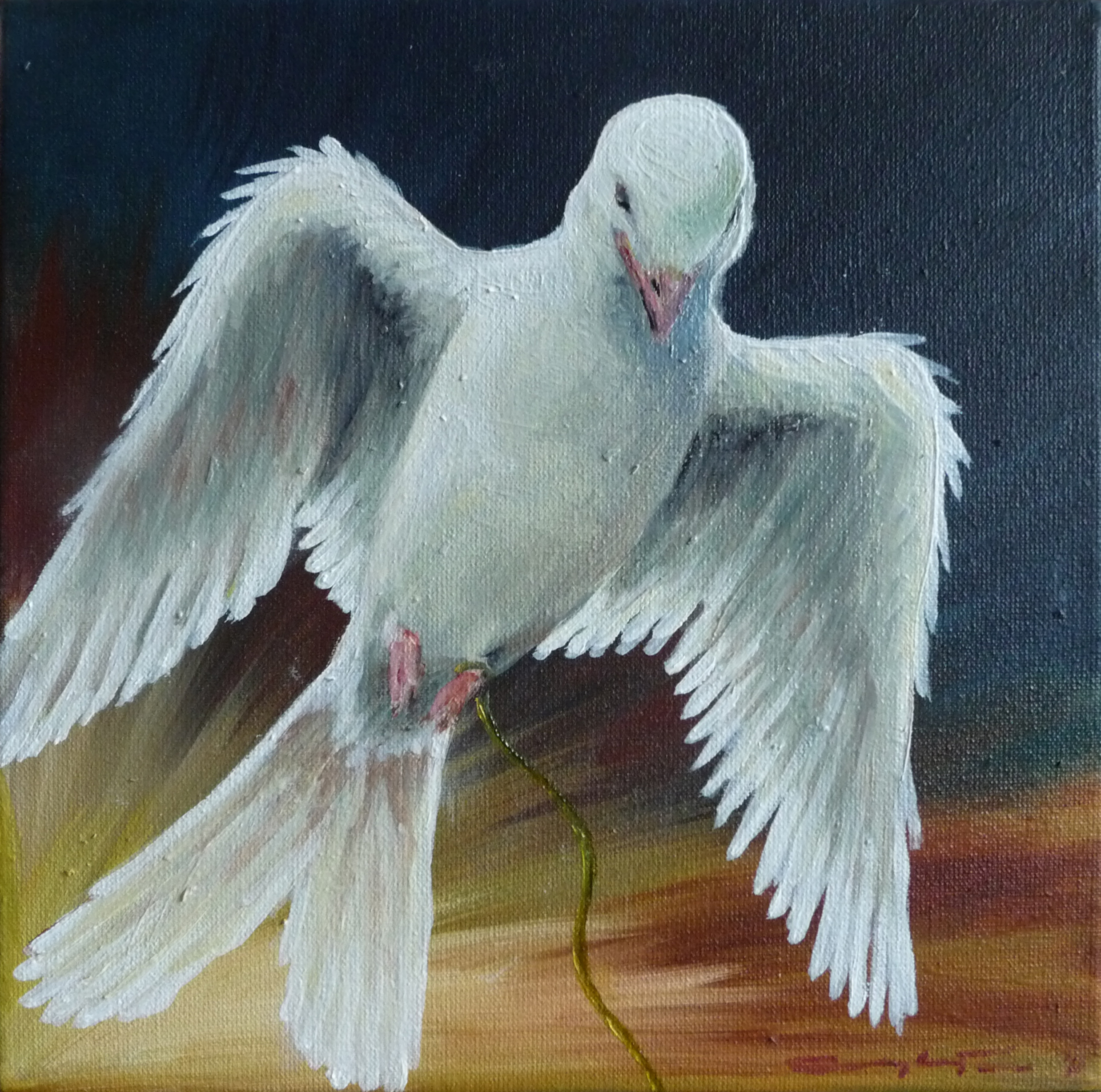Vlucht