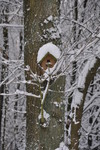 Oud-Turnhout 2010-2011 Winter 2010 Lente 2010