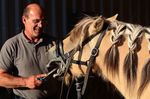 Een reportage gemaakt van de paardentandarts die mijn eigen pony heeft behandeld