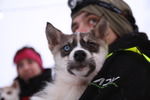 Foto van allerlei Dieren