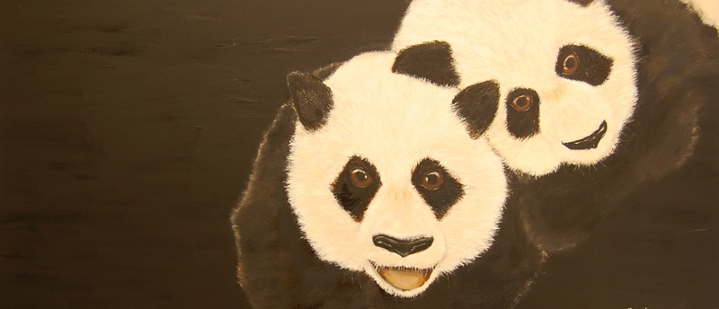 panda-liefde