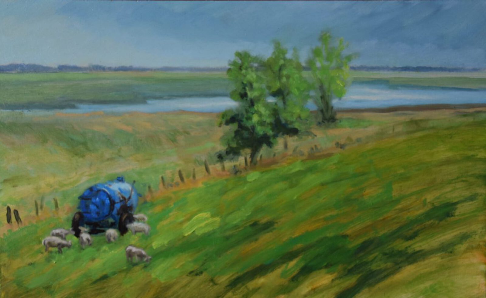 Schaapjes van de Breebaartpolder