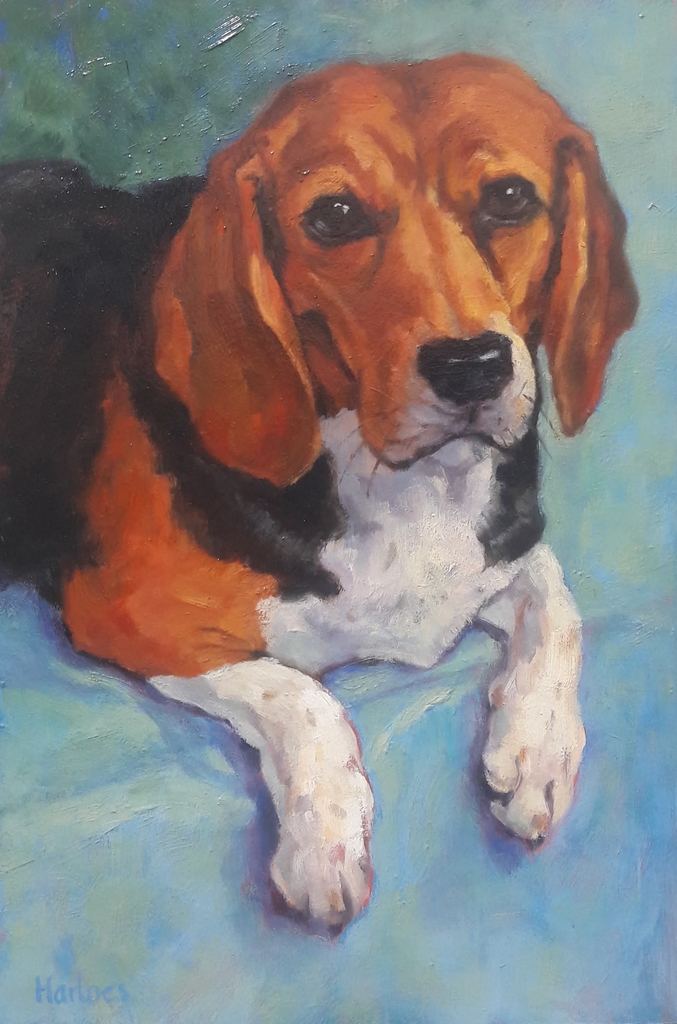 Beagle