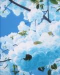 Bloemen