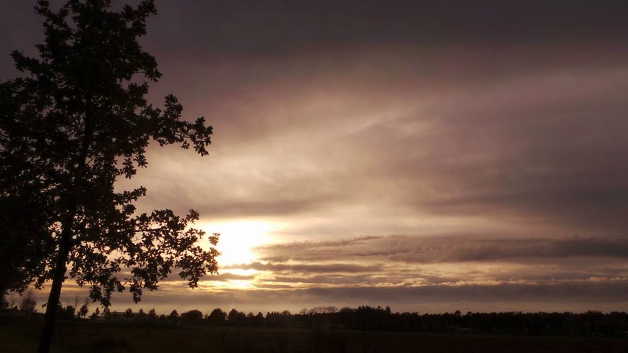 Landscapes Revisited Summer