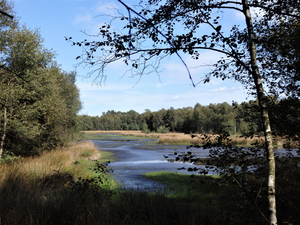 Foto Landschap