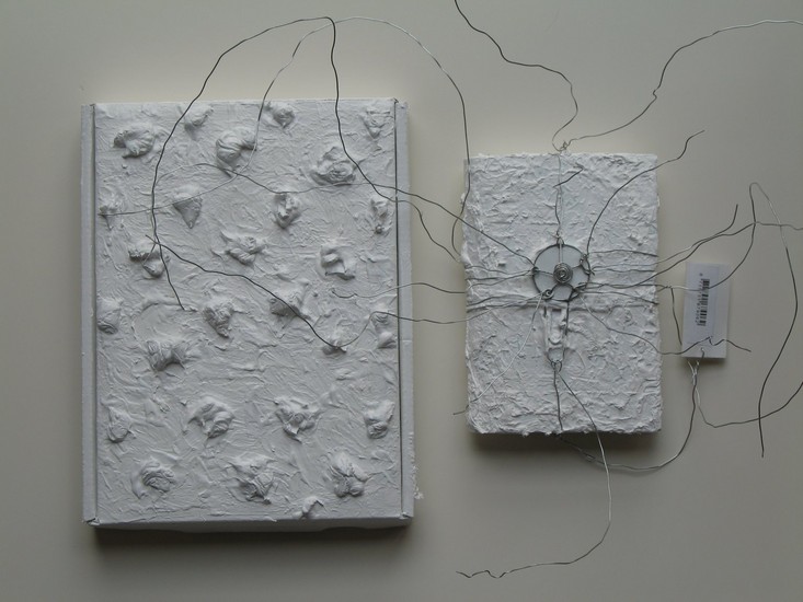 Nobody's Diary: Book and Box