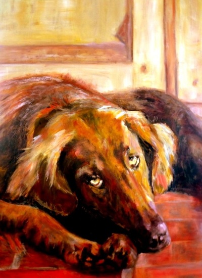 Flatcoated retriever