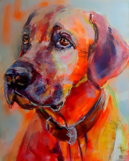 Ridgeback portret