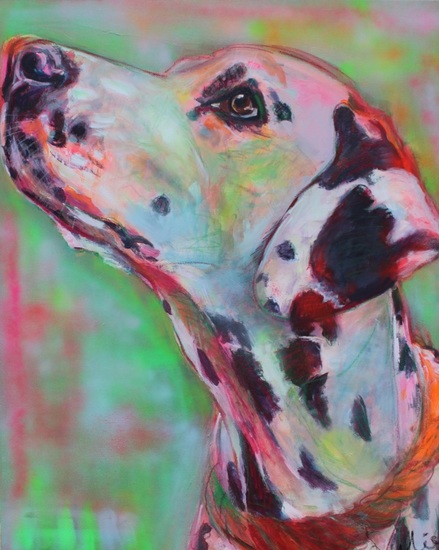 Dalmatier portret