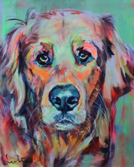Golden Retriever portret
