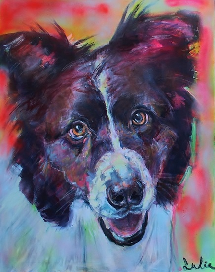 Border Collie portret
