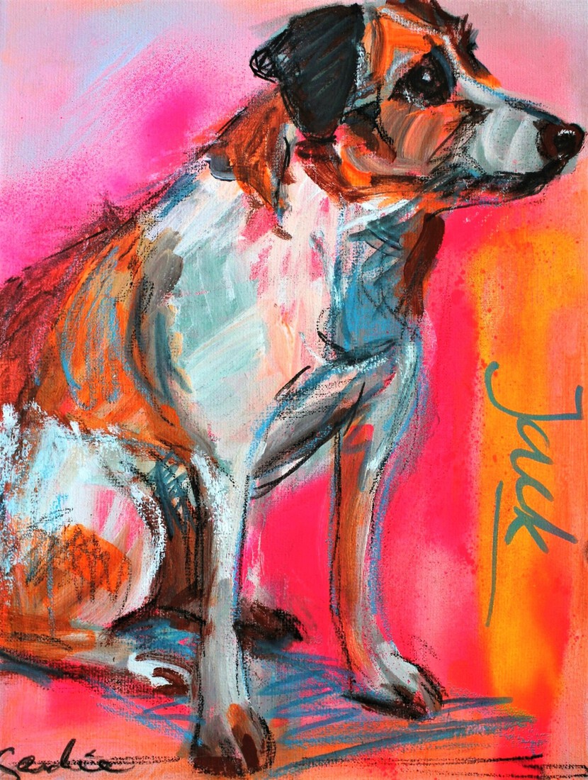 Hond Jack Russell terrier