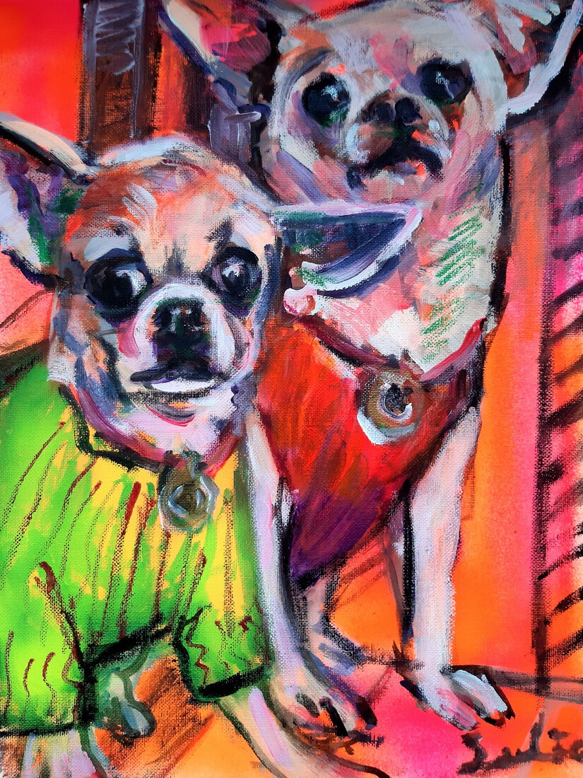 Chihuahuas