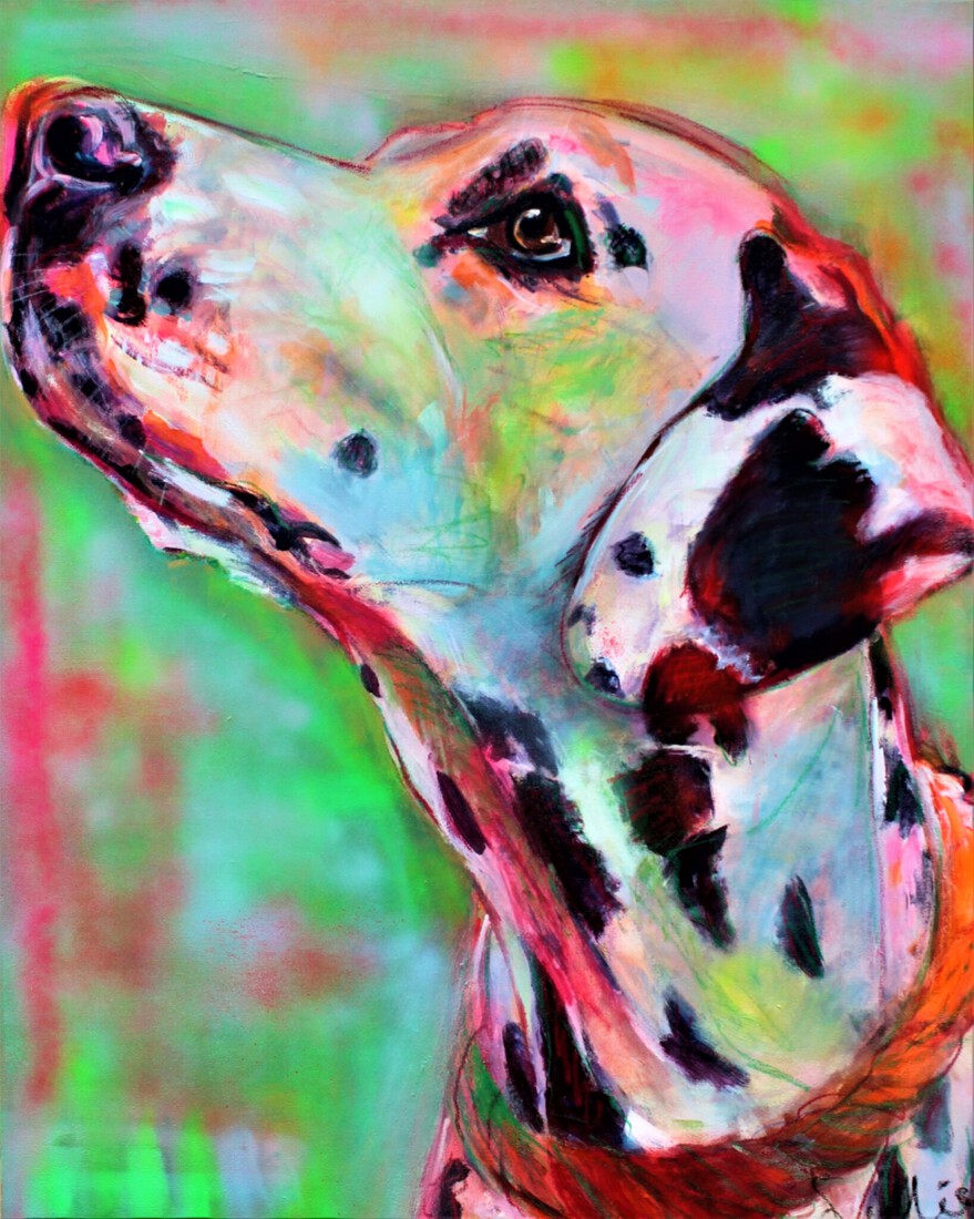 Dalmatier portret