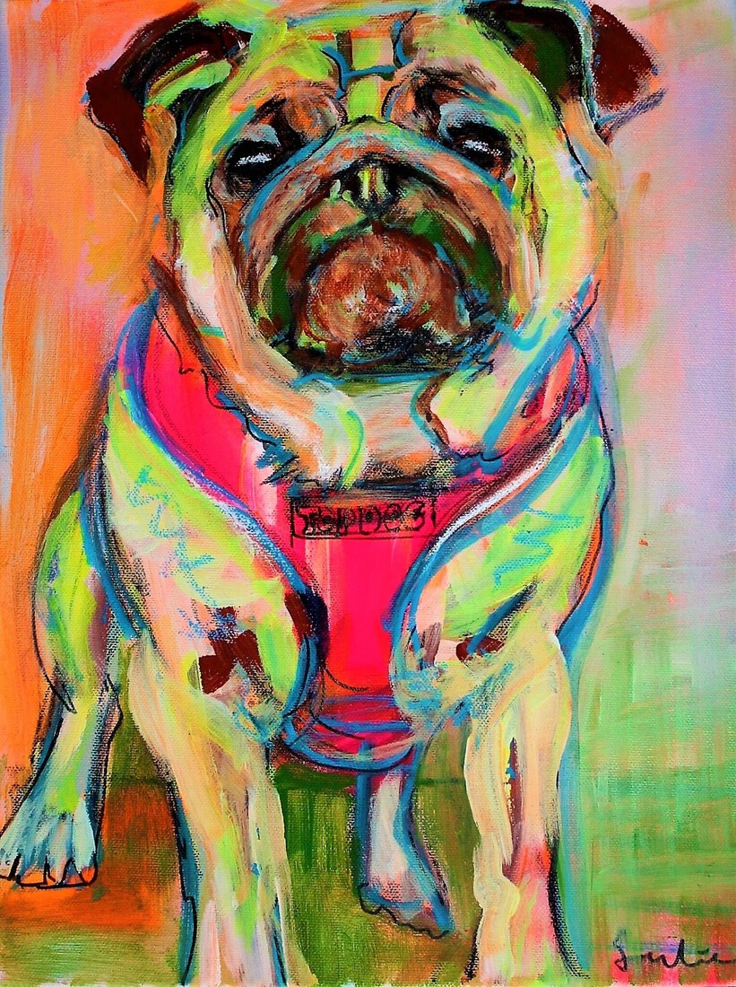 Hond Mops-hond