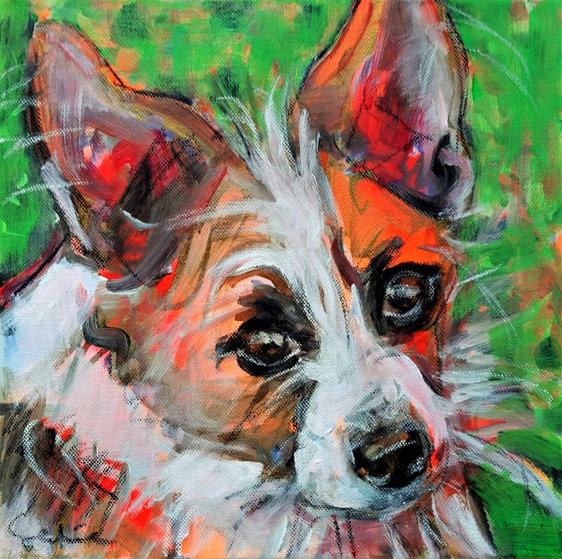 Jackrussellchihuahuamix