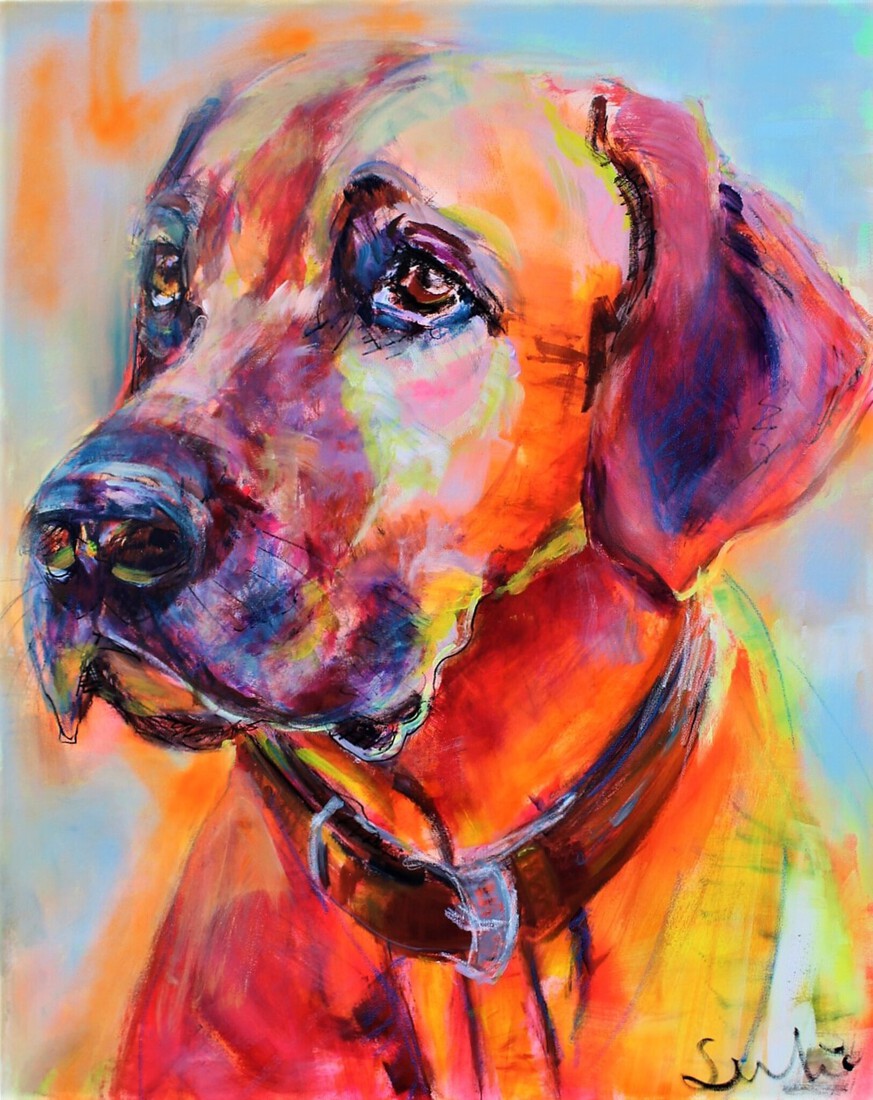 Ridgeback portret