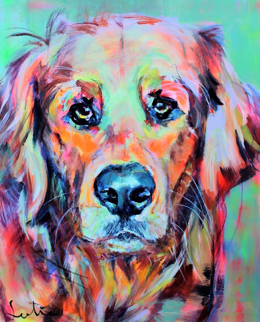 Golden Retriever portret